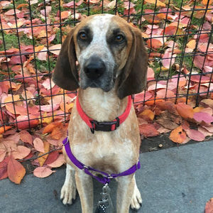 Meet your Posher, Kristen